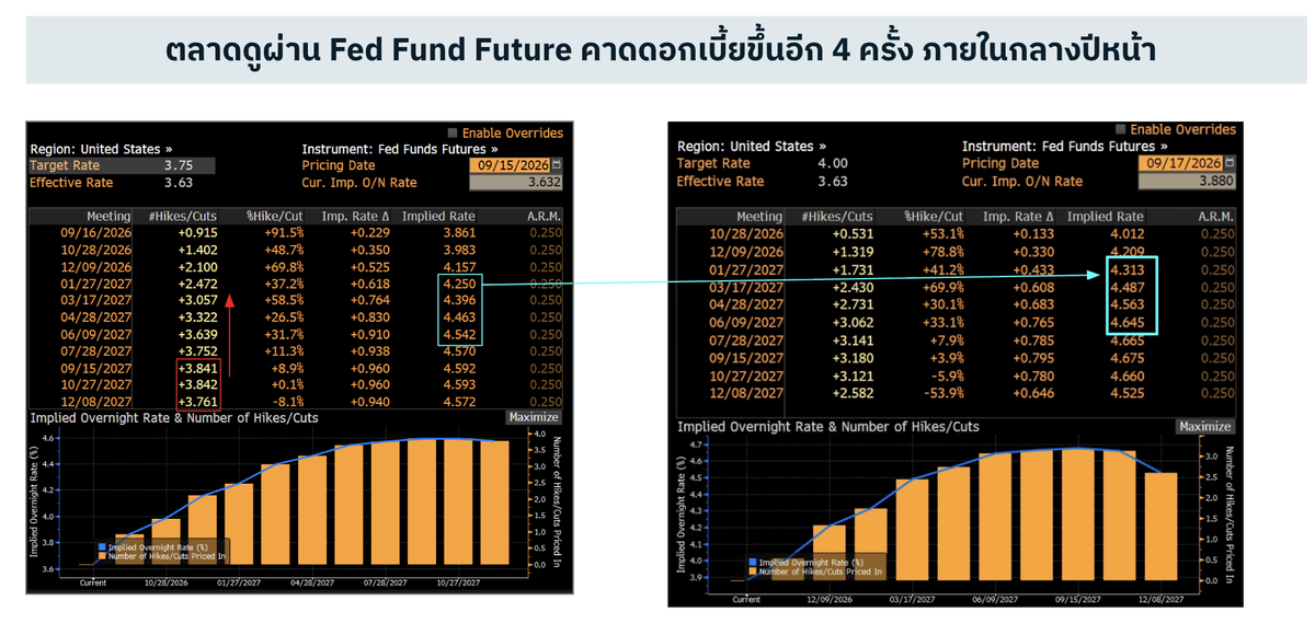 finnomena-opportunity-hub