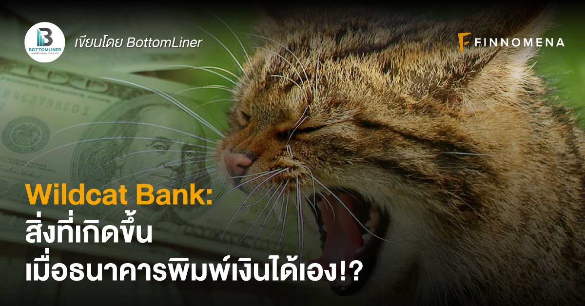 Wildcat Bank: สิ่งที่เกิดขึ้น เมื่อธนาคารพิมพ์เงินได้เอง!?