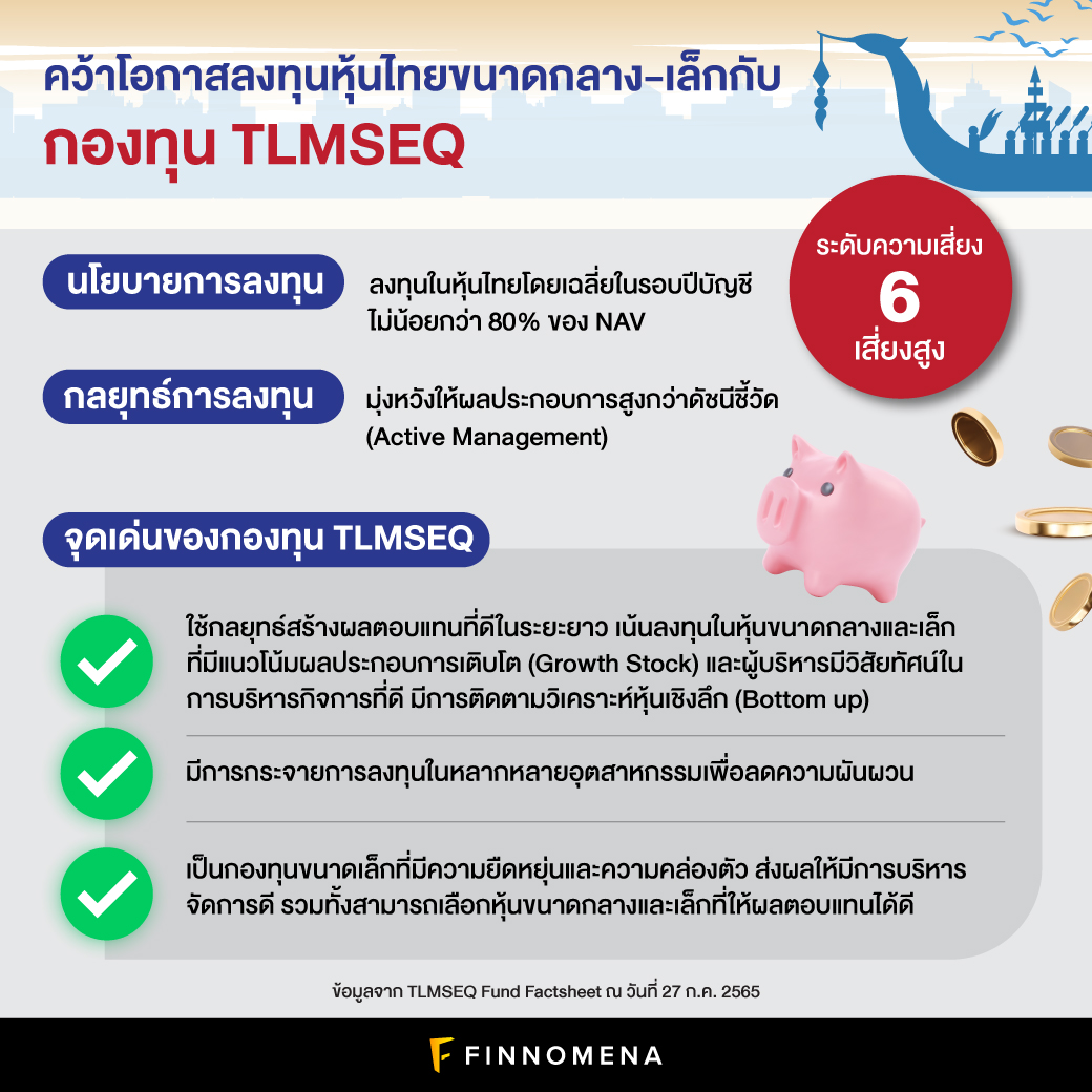 รีวิวกองทุน TLMSEQ: จังหวะคว้าโอกาสลงทุนหุ้นไทยขนาดกลาง-เล็ก ผลงานโตเด่นแซงดัชนี