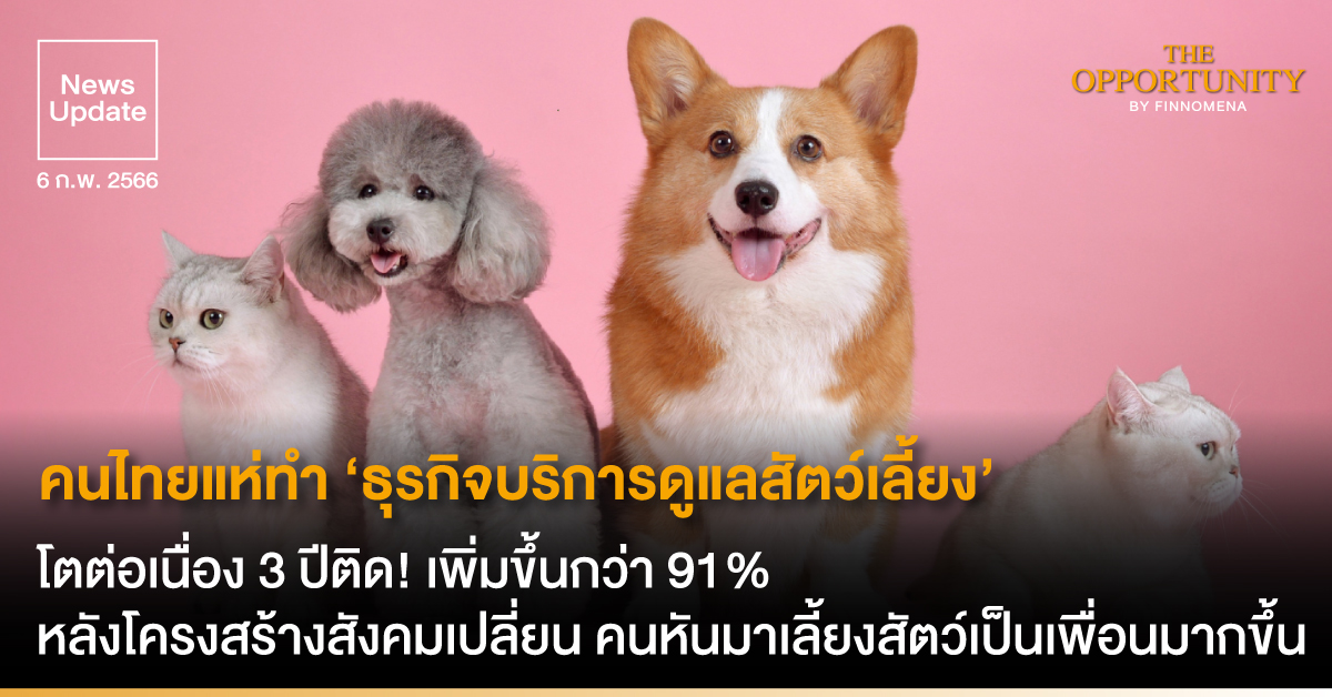 News Update: โตต่อเนื่อง 3 ปีติด! คนไทยแห่ทำ ‘ธุรกิจบริการดูแลสัตว์เลี้ยง’ เพิ่มขึ้นกว่า 91% หลังโครงสร้างสังคมเปลี่ยน คนหันมาเลี้ยงสัตว์เป็นเพื่อนมากขึ้น