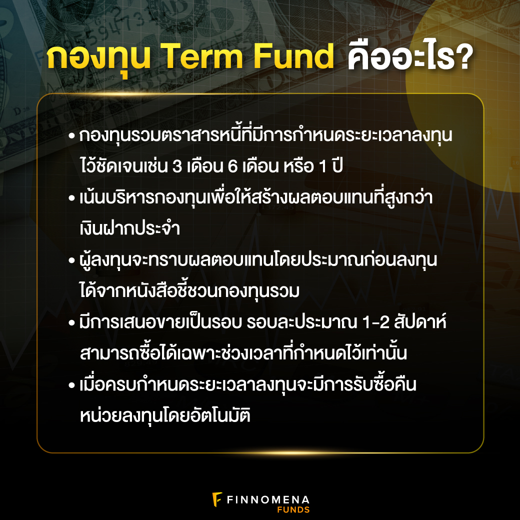 กองทุน Term Fund คืออะไร? ทางเลือกอีกสไตล์ของคนไม่ชอบเสี่ยง