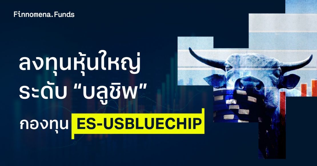 รีวิวกองทุน ES-USBLUECHIP