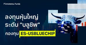 รีวิวกองทุน ES-USBLUECHIP: หุ้นใหญ่ชั้นดีระดับบลูชิพ