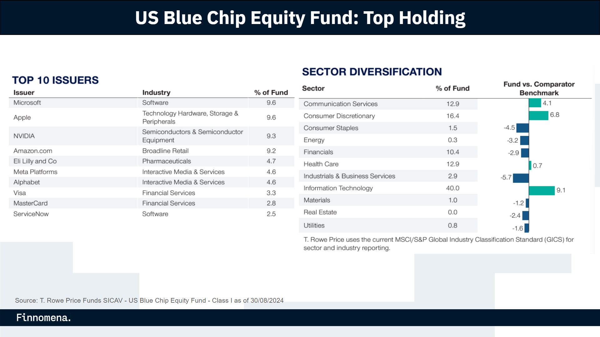 US Blue Chip Equity Fund: Top Holding