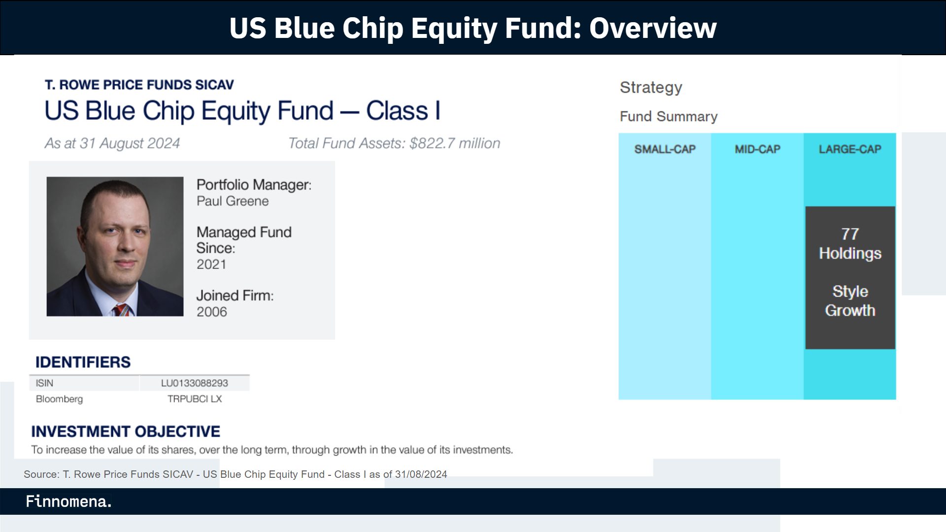 US Blue Chip Equity Fund: Overview