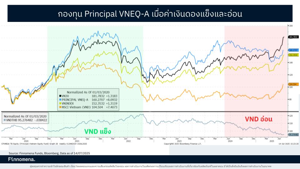 PRINCIPAL VNEQ-A