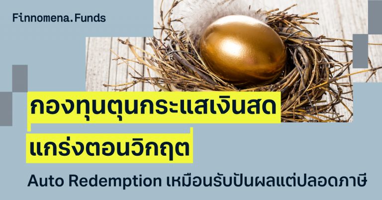 รวมกองทุน Auto Redemption เหมือนรับปันผล แต่ปลอดภาษี