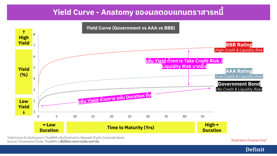 Yield Curve