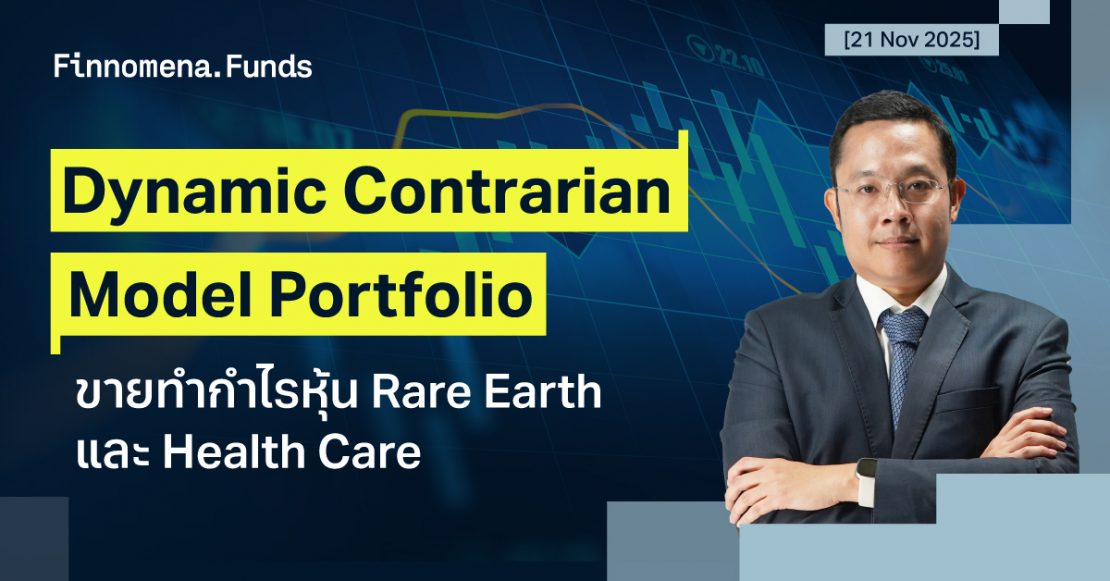 Dynamic Contrarian Portfolio