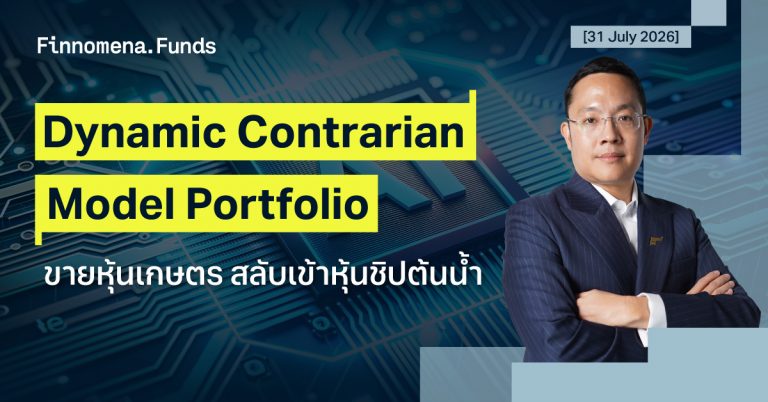 Dynamic Contrarian Model Portfolio