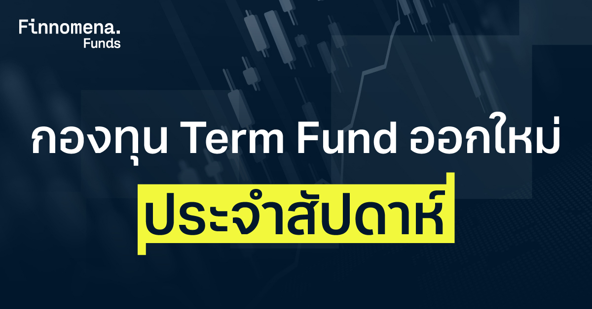 Term Fund