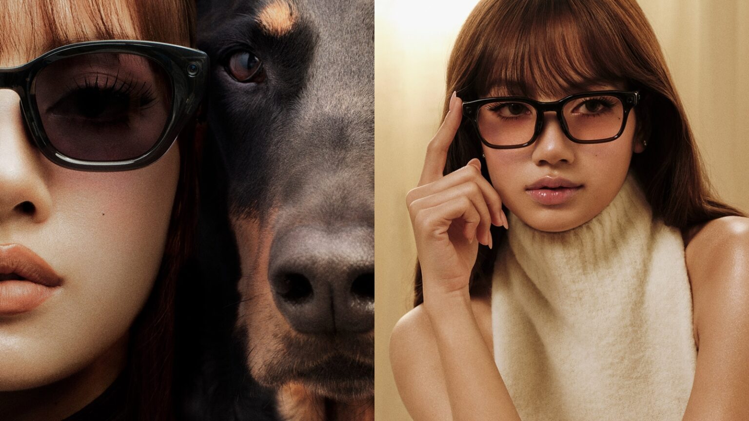 Meta Glasses